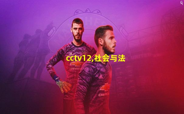 cctv12,社会与法