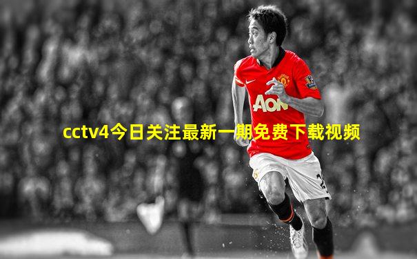 cctv4今日关注最新一期免费下载视频