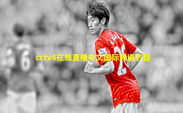 cctv4在线直播中文国际频道节目