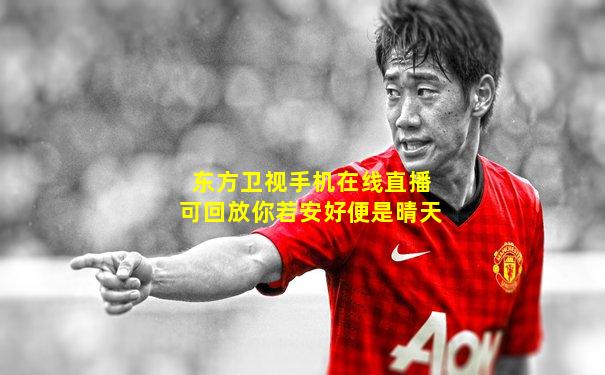 东方卫视手机在线直播可回放你若安好便是晴天