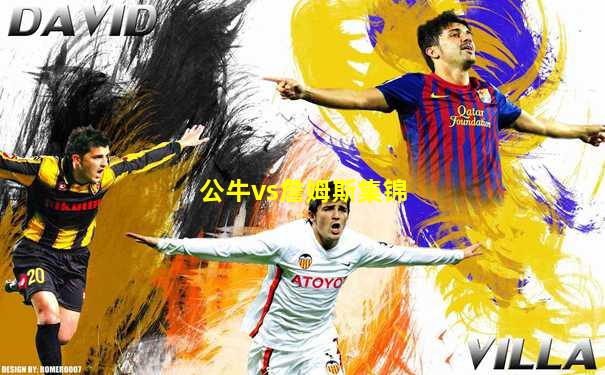 公牛vs詹姆斯集锦