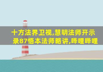 十方法界卫视,慧明法师开示录87悟本法师略讲,哔哩哔哩