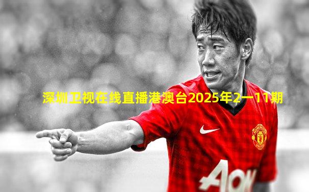 深圳卫视在线直播港澳台2025年2一11期