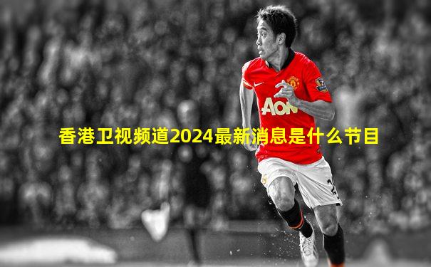 香港卫视频道2024最新消息是什么节目